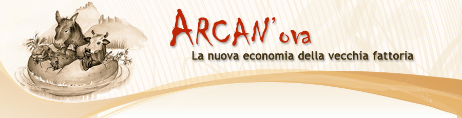 logo arcanova